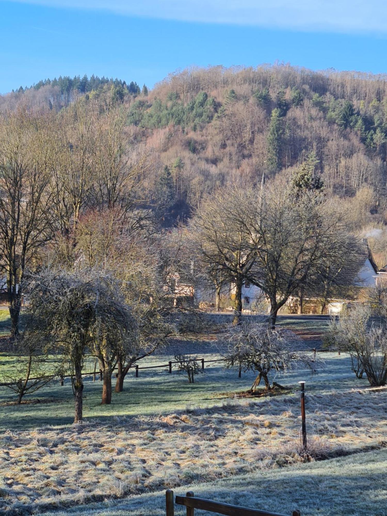 Ferienwohnung Burgblick Pelm Eksteriør bilde